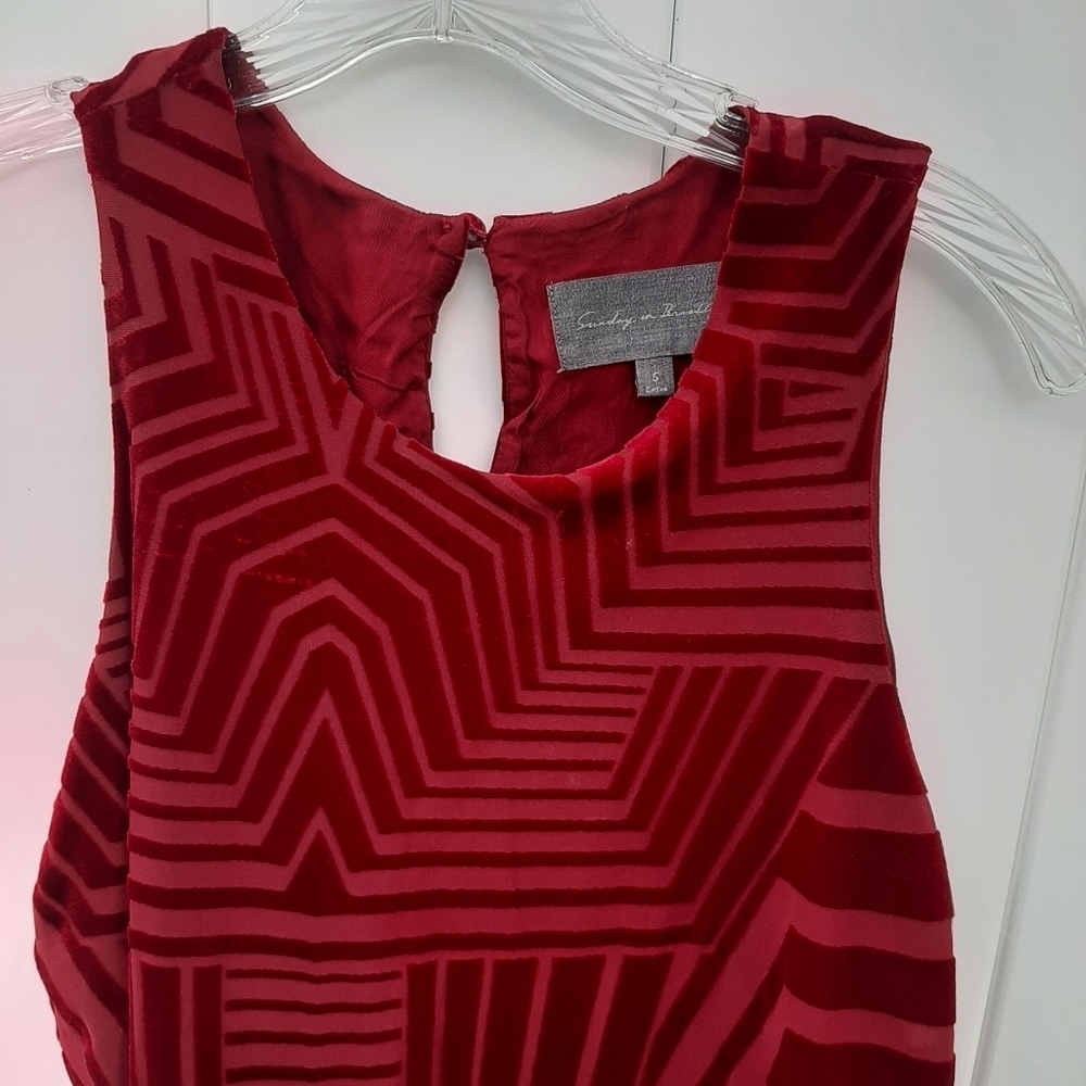 Anthropologie Sunday in Brooklyn Textured Red Velvet Tank Top Size S - Picture 6 of 11